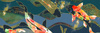 RED KOI 1 DECOR  30X90