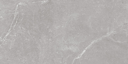 HARD ROCK SILVER MATT 60X120