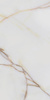 Pp STK/ONICE POLER / SGR13-1 60X120 G.1 SG PRO