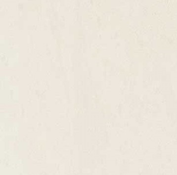 CN01 CONCEPT BIAŁY POLER 300X300 G.2