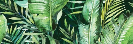 BRAGA TROPIC  B INSERTO 25X75