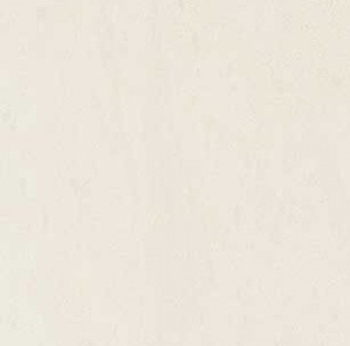 CN01 CONCEPT BIAŁY POLER 300X300 G.2