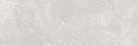 BRAGA GREY 25X75