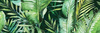 BRAGA TROPIC  B INSERTO 25X75