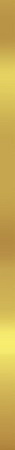 LISTWA SUPER GOLD 2,5x75 METAL G.1 BC
