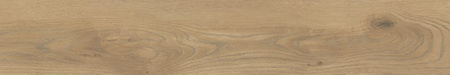 Pp TAIGA / SGR251-1 WOOD HONEY 20X120 G.1 SG PROMO