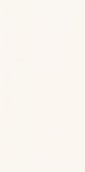 TABIA WHITE SCIANA MAT. 30X60