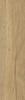 SVERIGO GOLD MAT. 15,5X62