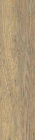 OSLO BEIGE 15,5X62