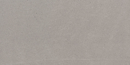 GRES PAVERA SILVER RECT. 797X397 G.2