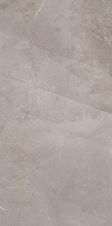 MUSE SILVER 59,8X29,8