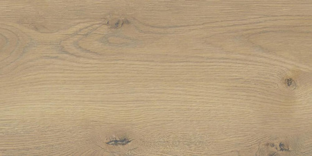 TAIGA BEIGE GRES MAT. SGR256-1 30X60