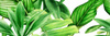 GARDEN TROPIC DEKOR A RETT. 25x75