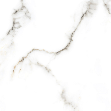 CARRARA POLISHED 800X800 G.1