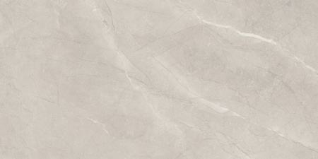 Bayona Silver Pulido Rect. 60x120