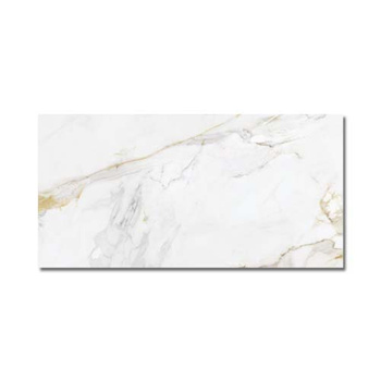 MARSHALL GOLD 60x120 POLER G1 EC