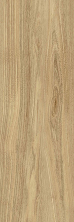 Pś DREAMWOOD GLOSSY RETT. 25x75 G.1 BC