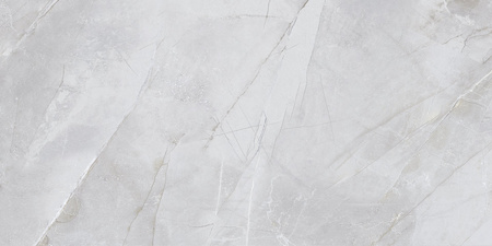 SERGIA GREY CCR69-1 30X60