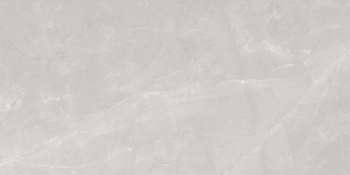 COR_LEO GREY POLISHED 1200X2400 G.1