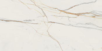 MARMO D'ORO POL 59,8X119,8