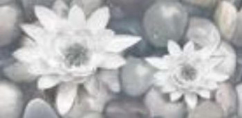 ARDESIA BIANCO LILIA DEKOR 30x60