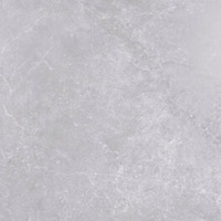 ALEXIA GRIS 60X60 LAPPATO G.1 EG
