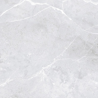 MALIBU SILVER 60X60X8,5MM RECT. (1,44) POLISHED