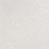 TERRA BLANCO 60X60 LAPPATO G.1 EG