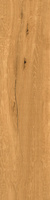 OAK HONEY MATT 30X120