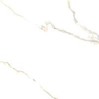 Pp ACOTHLEY GOLD 60X60 POLISHED G1.IMP1