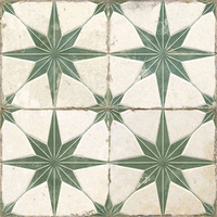 FS STAR SAGE LT 45X45 G1 PN