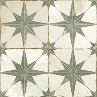 FS STAR SAGE 45X45 G1 PN