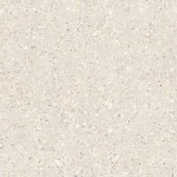 TERRAZZO BEIGE 80X80 G1 US