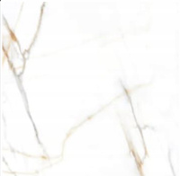 GRES SIDORNO GOLD LAPPATO 60X60 EMIGRES GAT. I