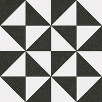 TERRADES GRAFITO 20X20 11I6 G1 VV