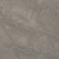 Pp LICEO GREY 60X60 POLISHED G1.IMP1