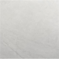 CAMPILLO WHITE RECT. 59,7X59,7 G.I