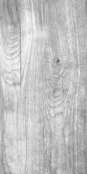 FORESTA GRIGIO 30x60