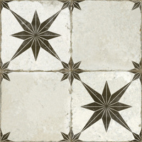 FS Star ARA Black 45x45