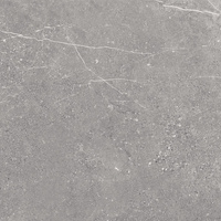 Pp VIPER GREY RECT 597x597x7 G.1 CG