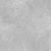 LEGANTE GREY MATT 2.0 60X60