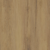 Pp SGR323-1 ALTERWOOD SABBIA (20MM) 60x60x2 G.1 SG