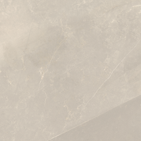 ARGENTA EMERITA LIGHT RC 60X60
