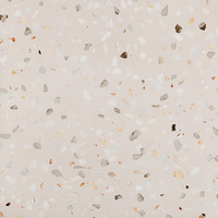 DORIA SABBIA 60X60 G1 PS