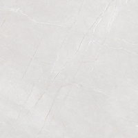 Pp LICEO BIANCO 60X60 MATT+CARVING G1.IMP1