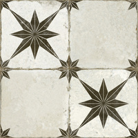 FS STAR ARA BLACK 45X45 G1 PN