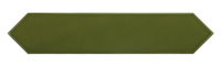 ARROW GREEN KELP 5X25ARROW G1 EQ 25827