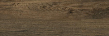 ALAYA WOOD GLOSSY 20x60