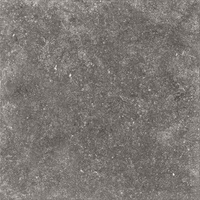 Pp SPECTRE GREY (20MM) RETT. 60x60x2 G.1 SG PROM
