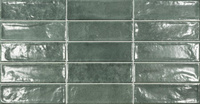 EC. POOL GREEN 31,6X60 G1 EC